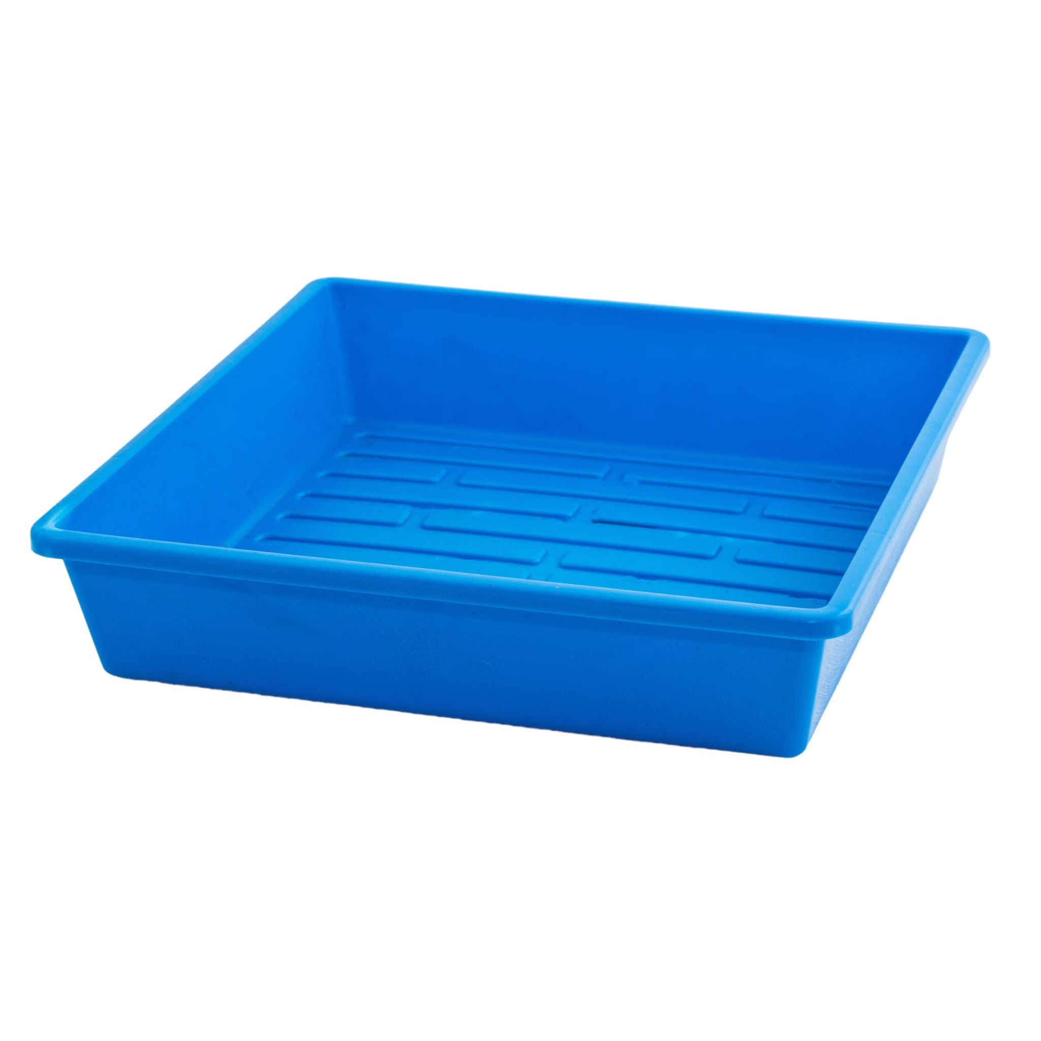 Blue plastic seed tray on a white background
