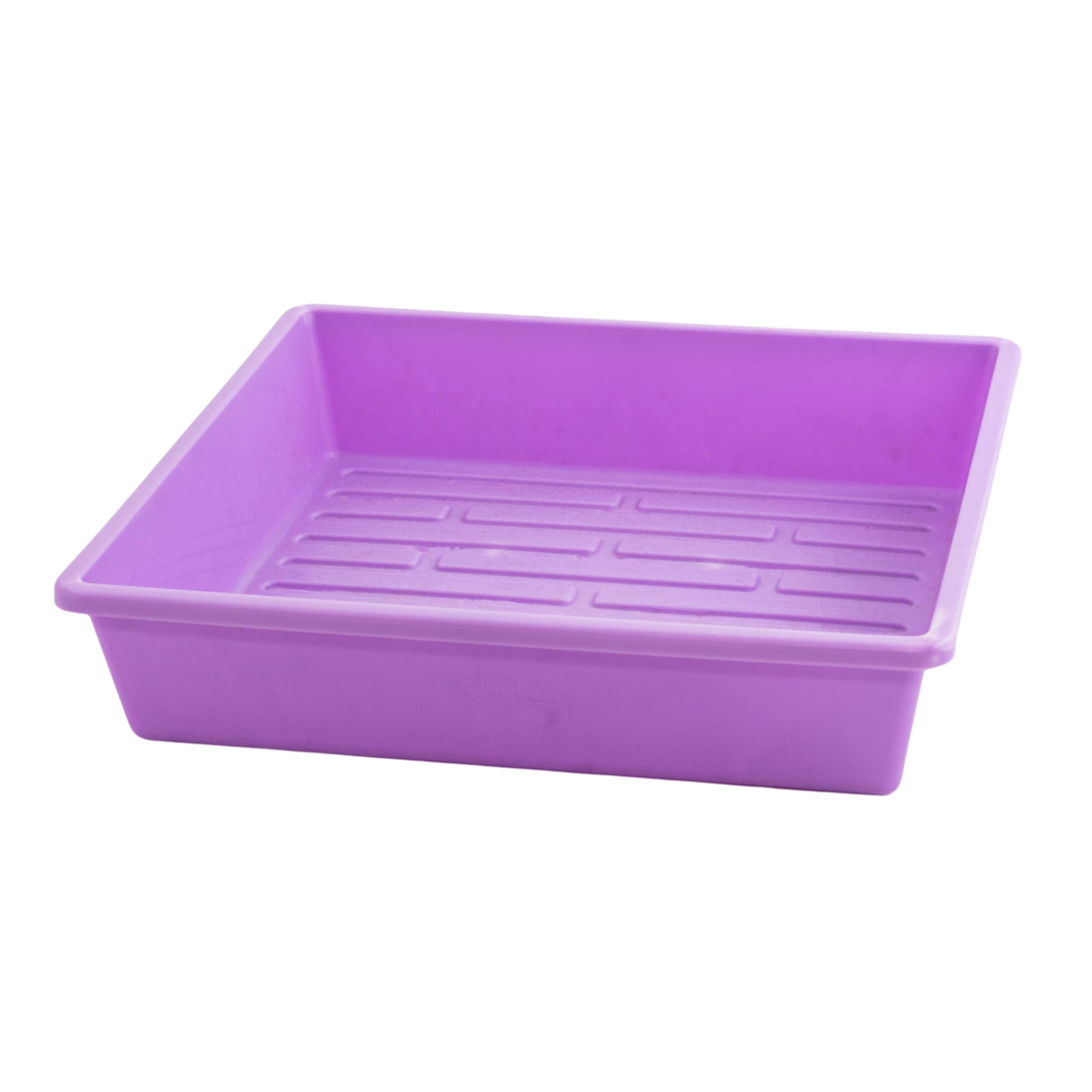 Purple plastic tray with drainage holes on a white background