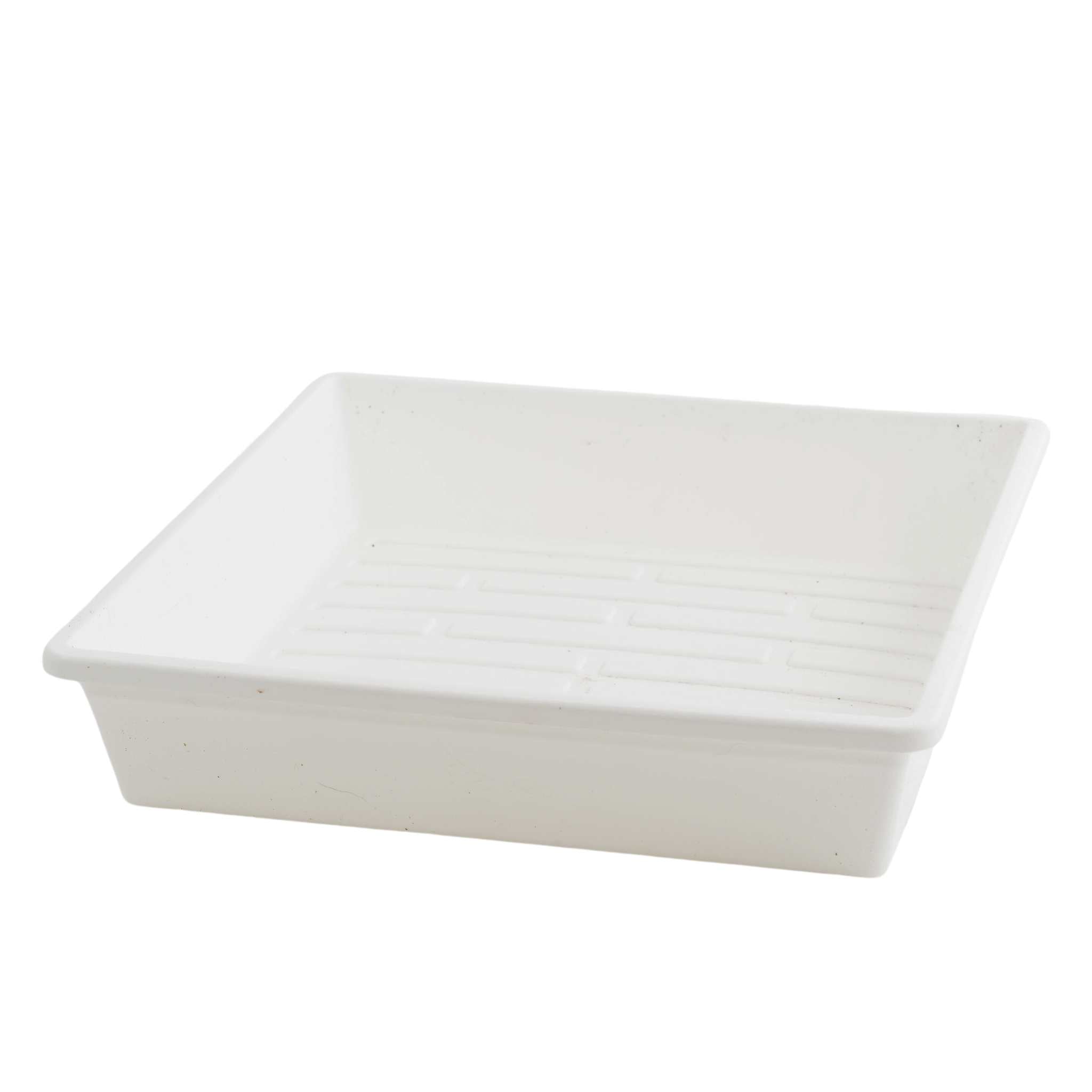 White plastic seed tray on a white background
