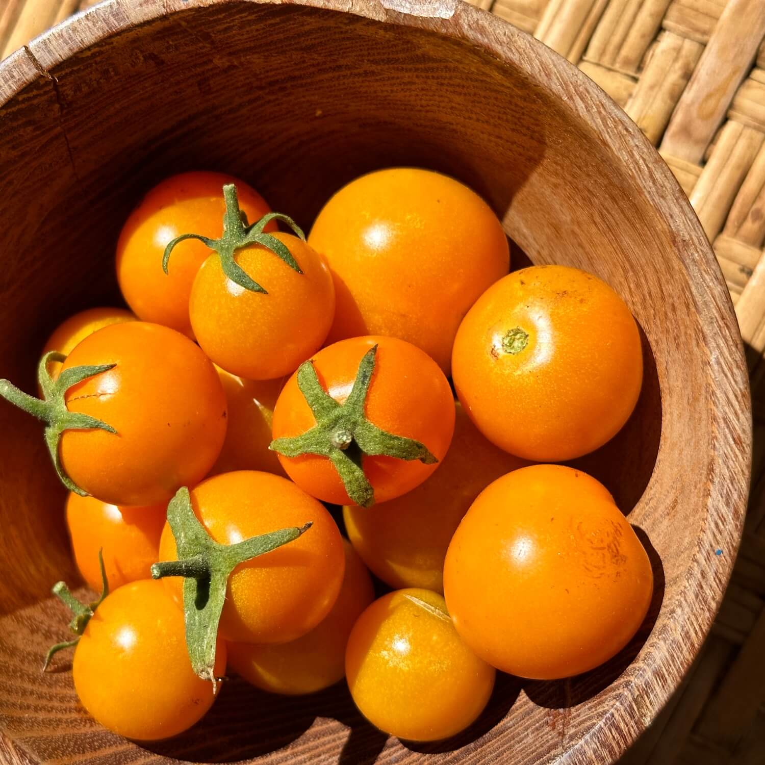 Wooden bowl filled with California Sungold tomatoes on a woven surface