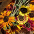 Bouquet of red orange and yellow sunflowers and other flowers in a woven basket