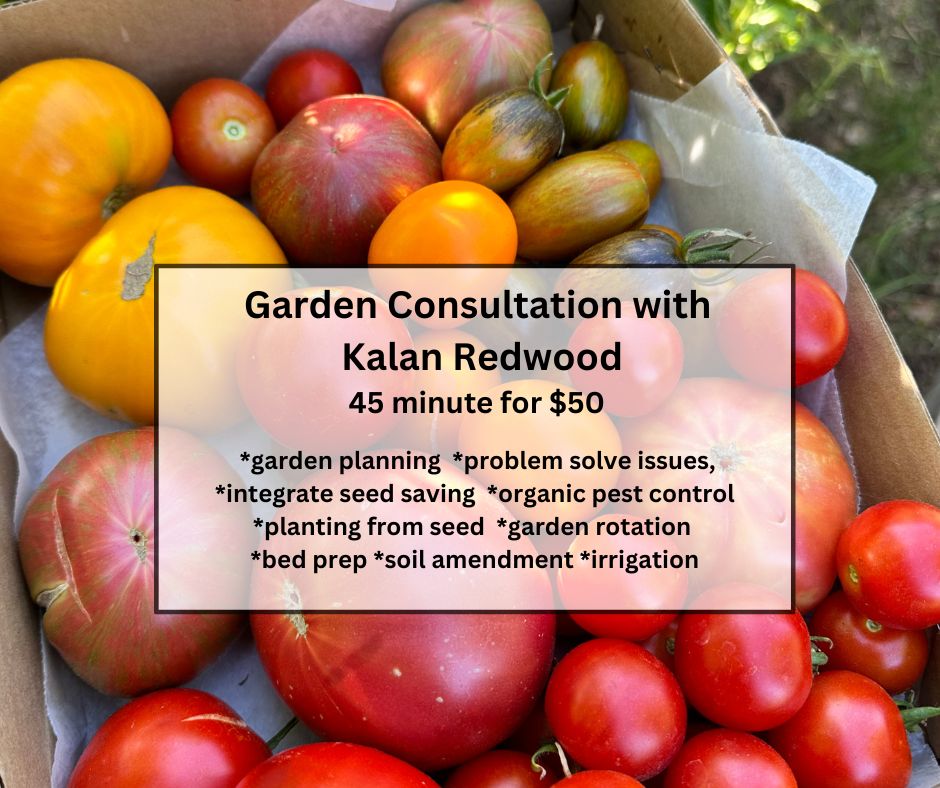 Garden Consulation