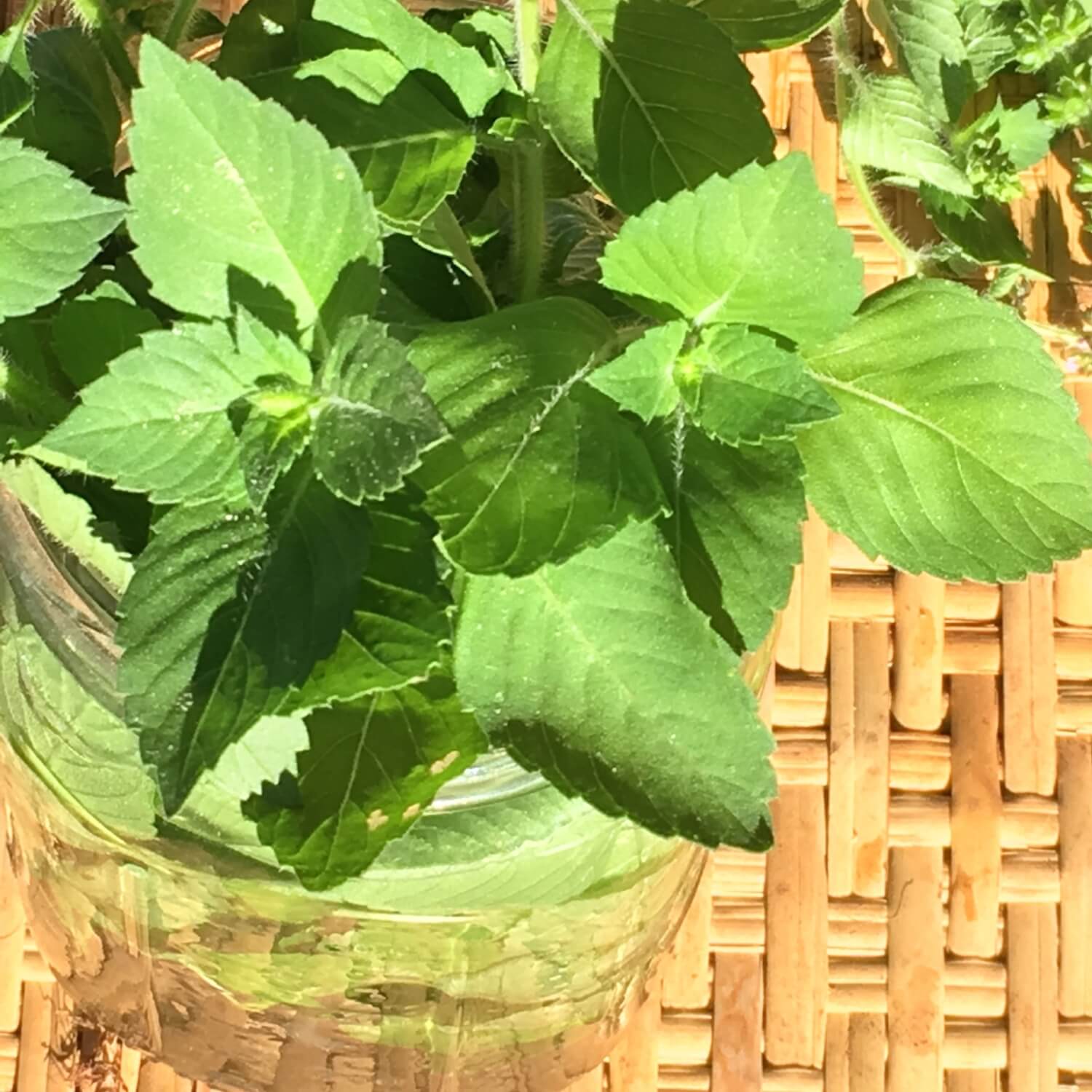 Thai Basil leaves in a glass container on a woven surface