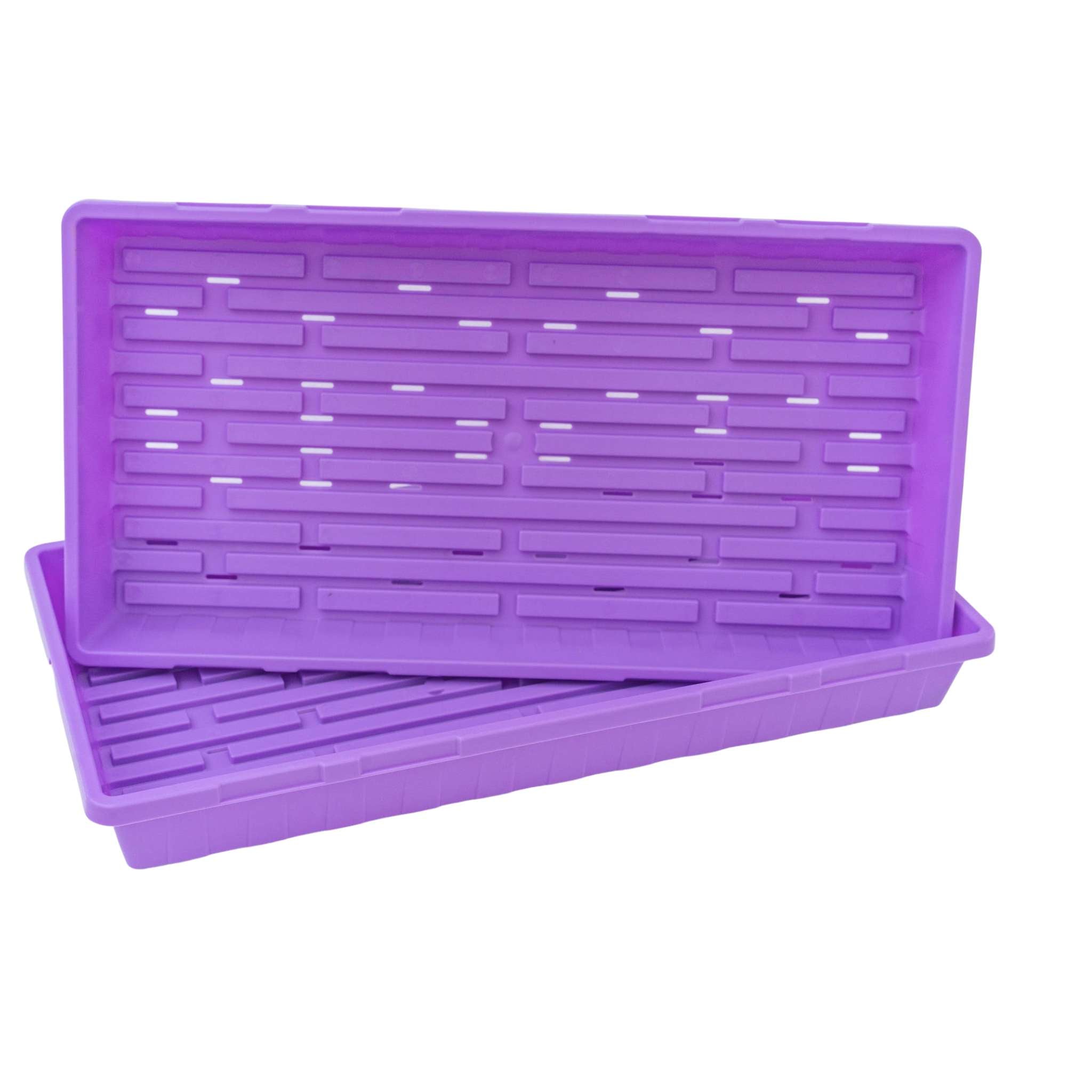 Purple plastic tray with drainage holes on a white background