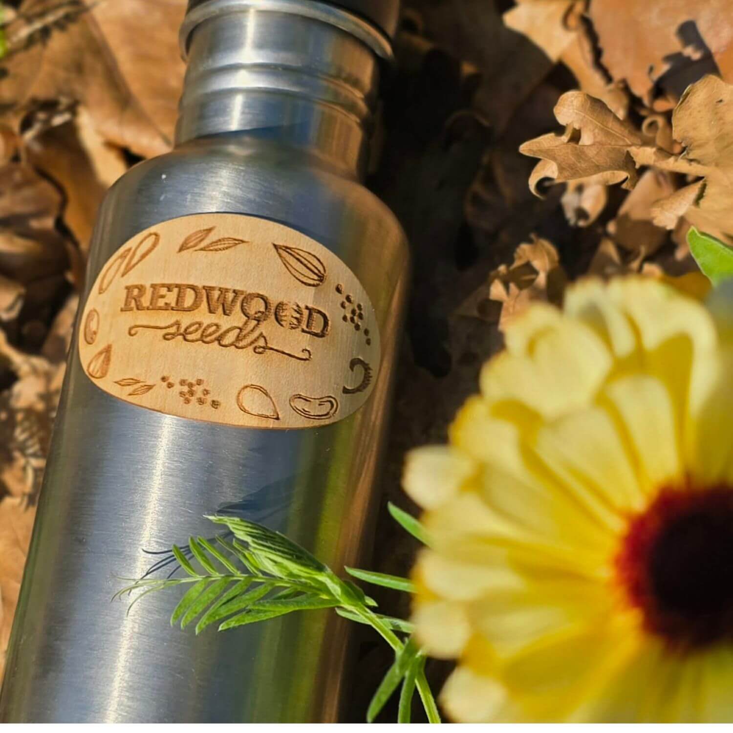 Redwood Seeds Stickers