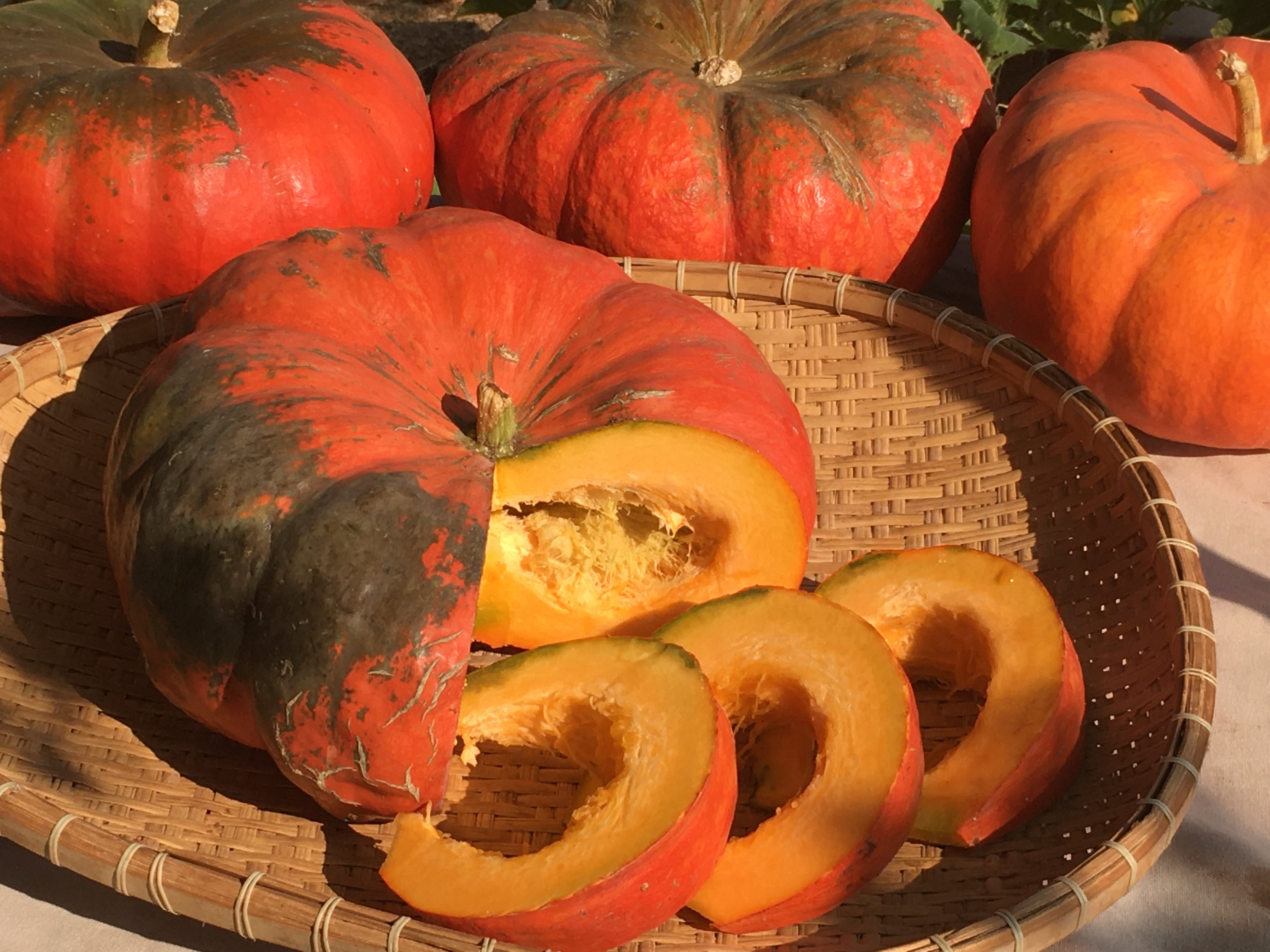 Cinderella Pumpkin