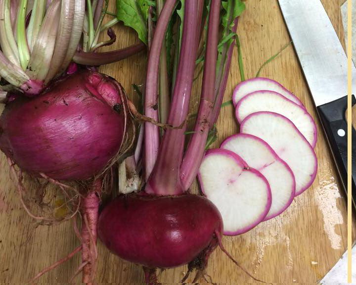 Scarlet Ohno Revival Turnip