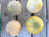 Five Great Melon Varieties!