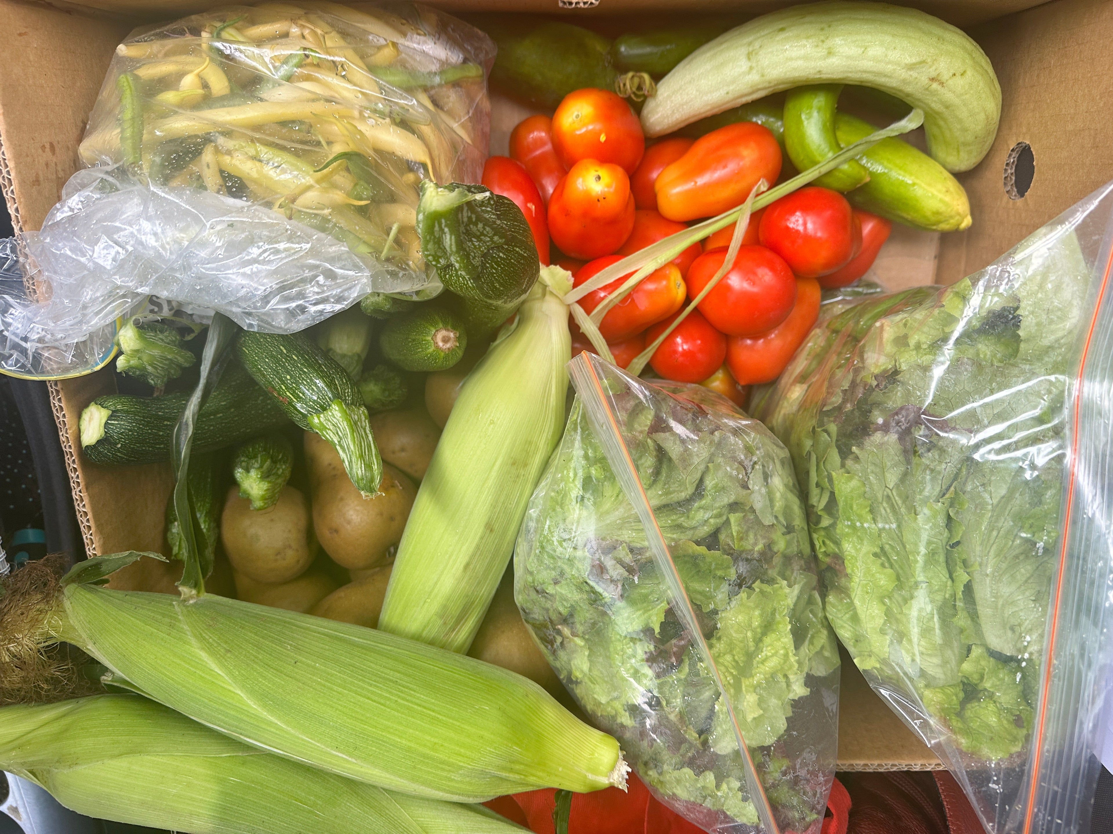 Summer Workhorse Veggies!