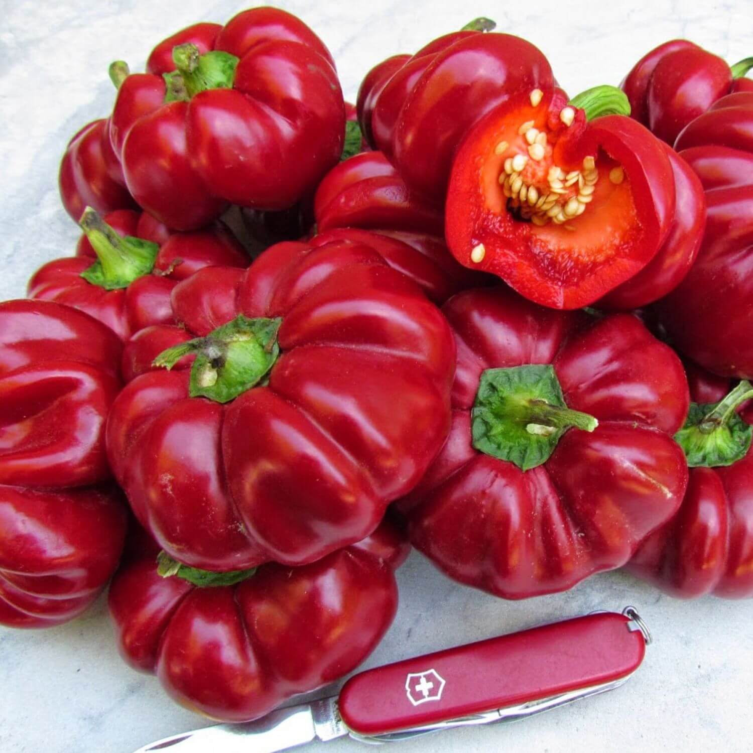 Eel River Produce Collection