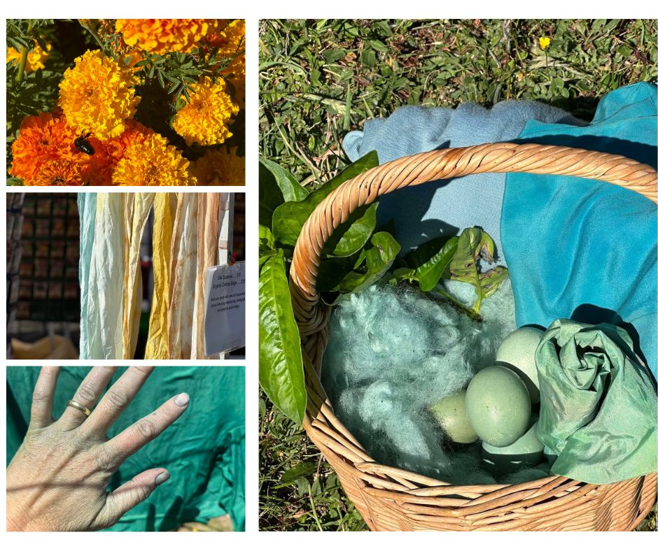 Dye Plants