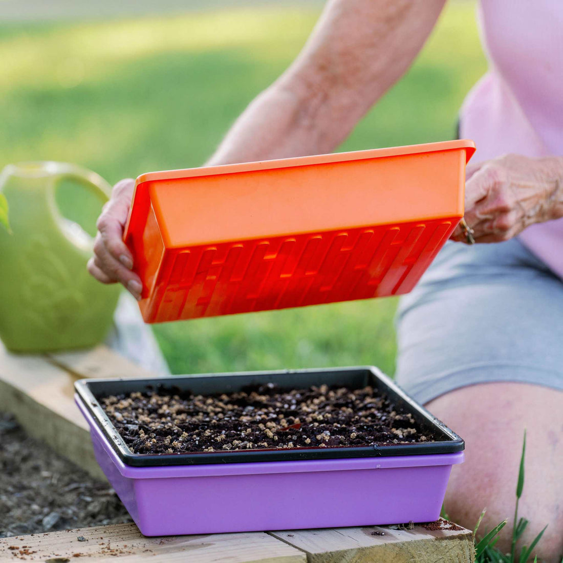 Person holding an orange seedling tray over a purple seedling tray filled with soil outdoors. 