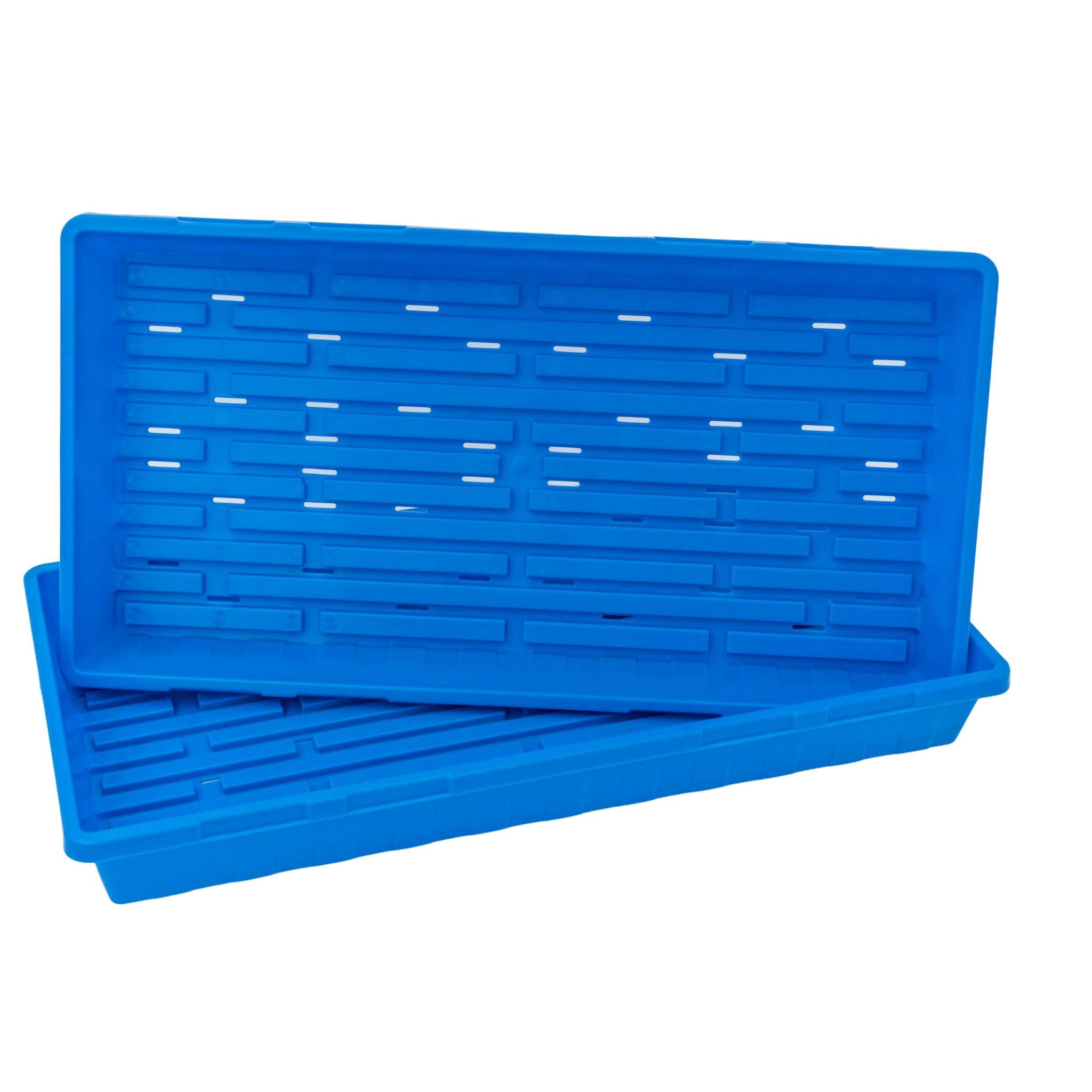 Two blue plastic trays with drainage holes on a white background 