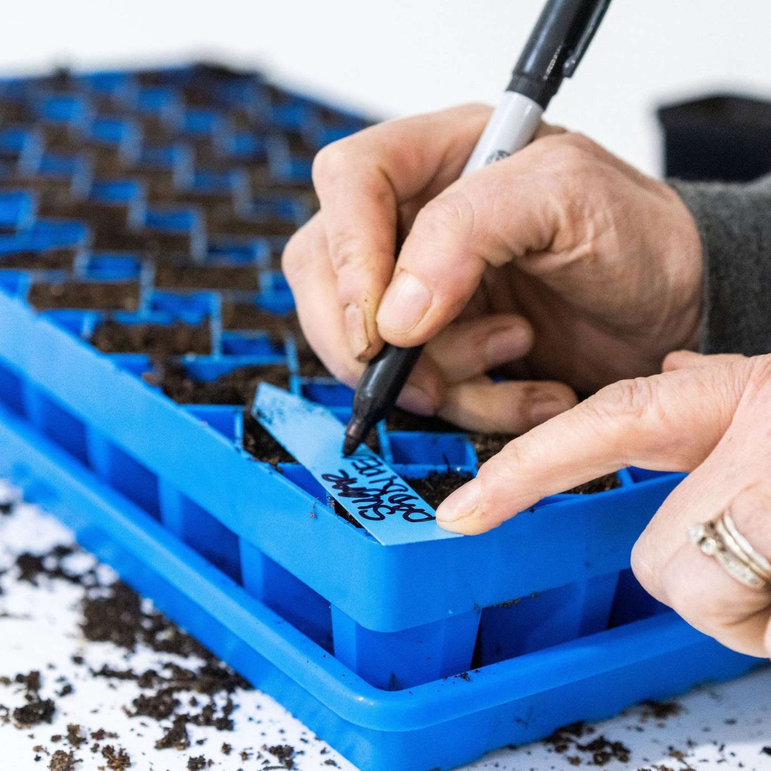 Person labeling a blue seed tray with a marker 