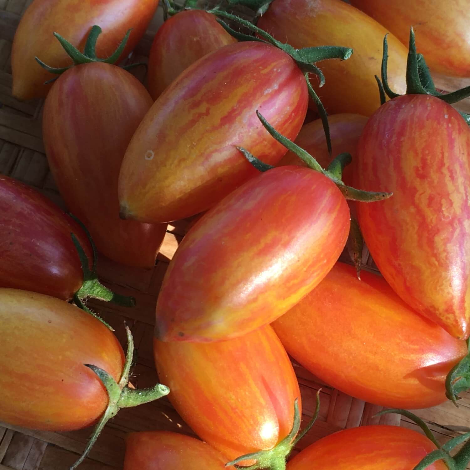 Close-up of red and orange blush tomatoes on a woven surface