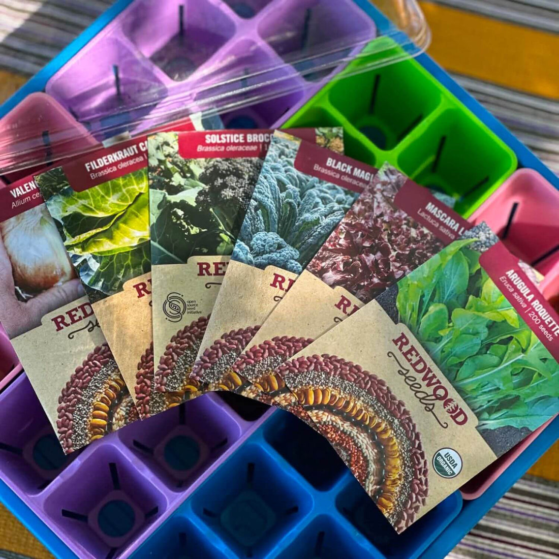 Garden Starter Kit