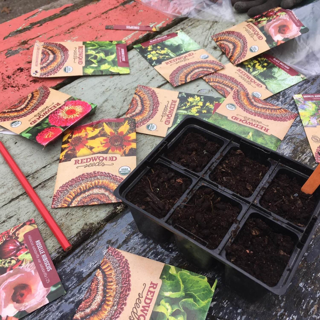 Seed packets and a seed tray on a wooden surface