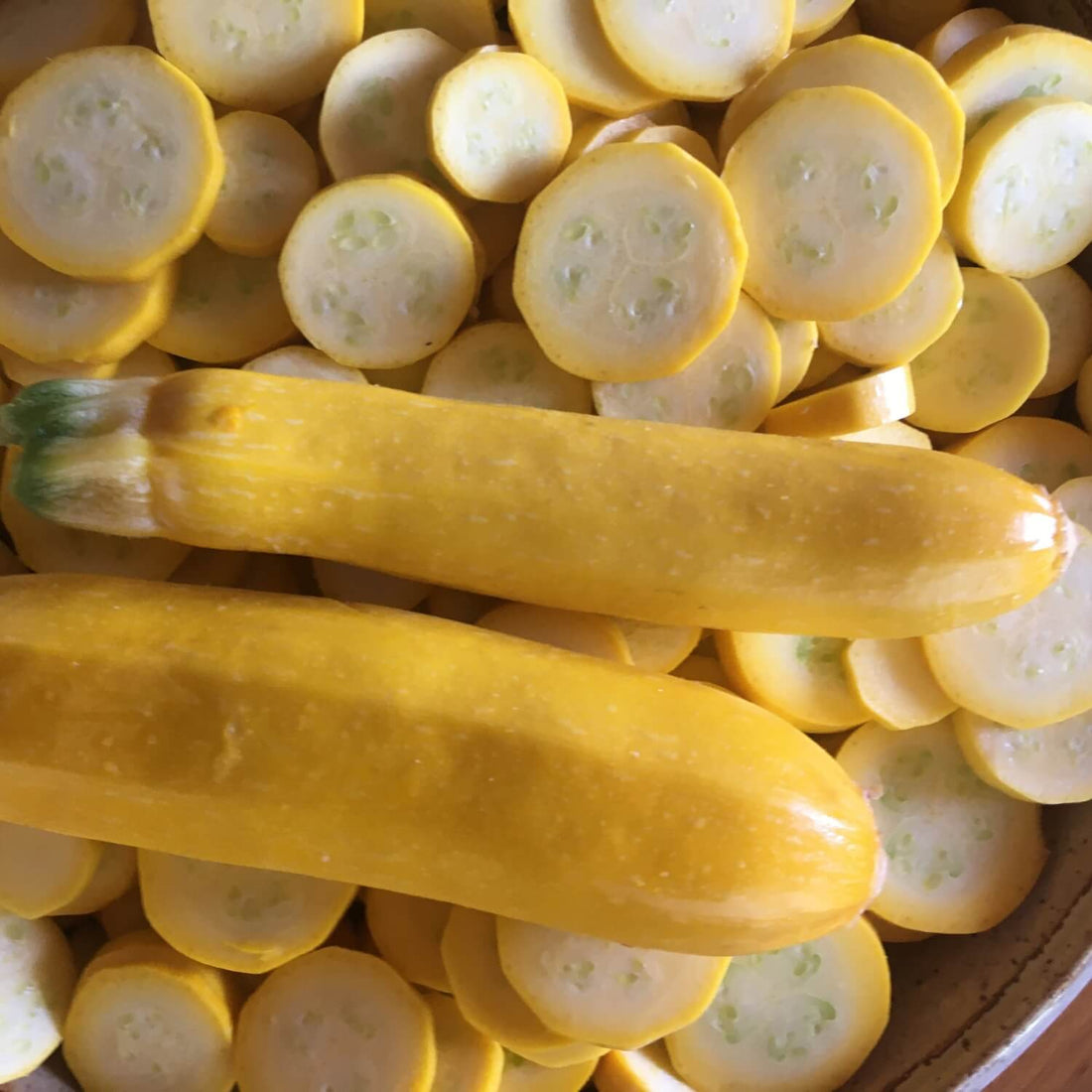 Golden zucchinis with a green stem on a bed of sliced yellow zucchini pieces.