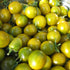 Close-up of green grape cherry tomatoes with stems on a pile