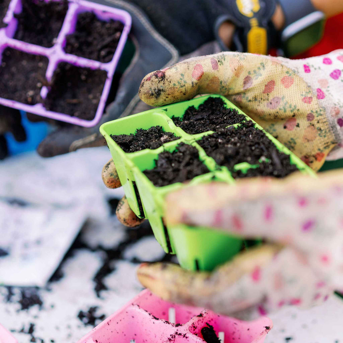 Person holding a green seed tray with soil, surrounded by gardening tools and containers. 