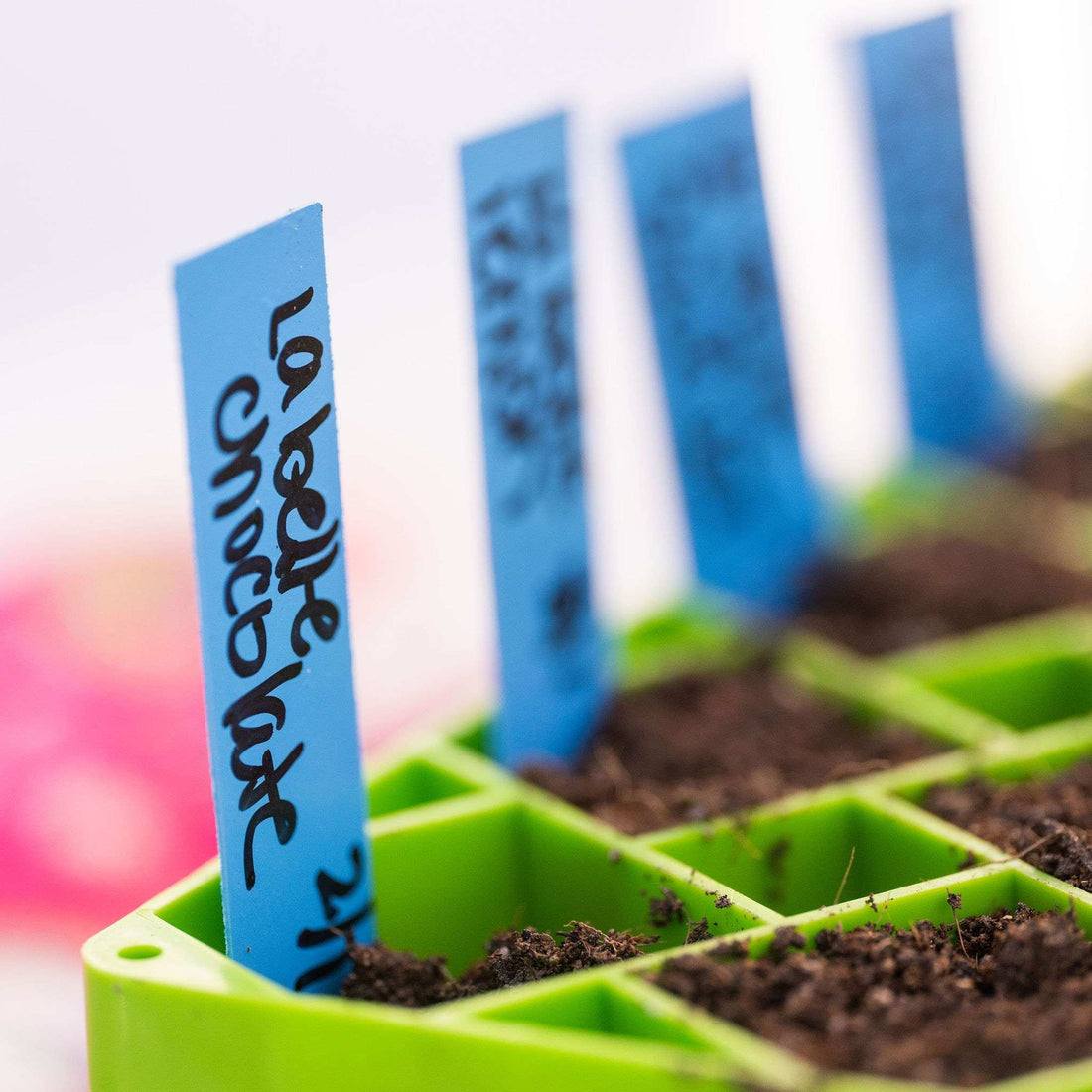 Seedling labels in a green propagation tray with soil, blurred background 