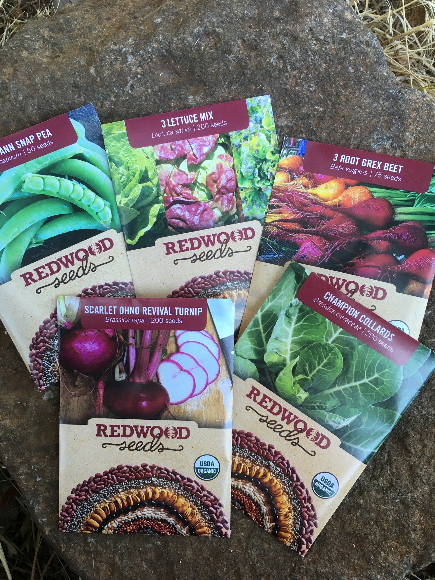 Complete Garden Starter Kit