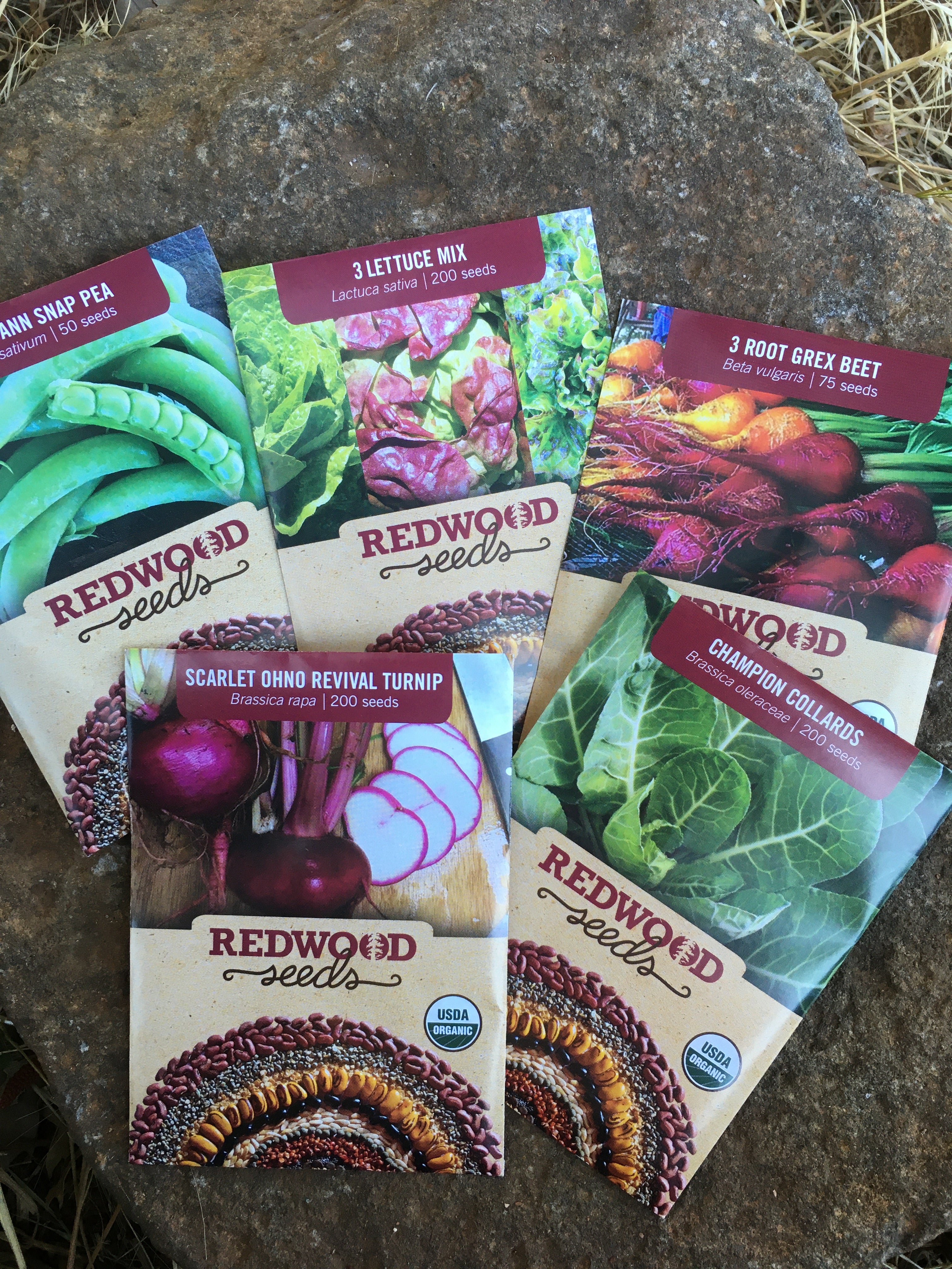Complete Garden Starter Kit