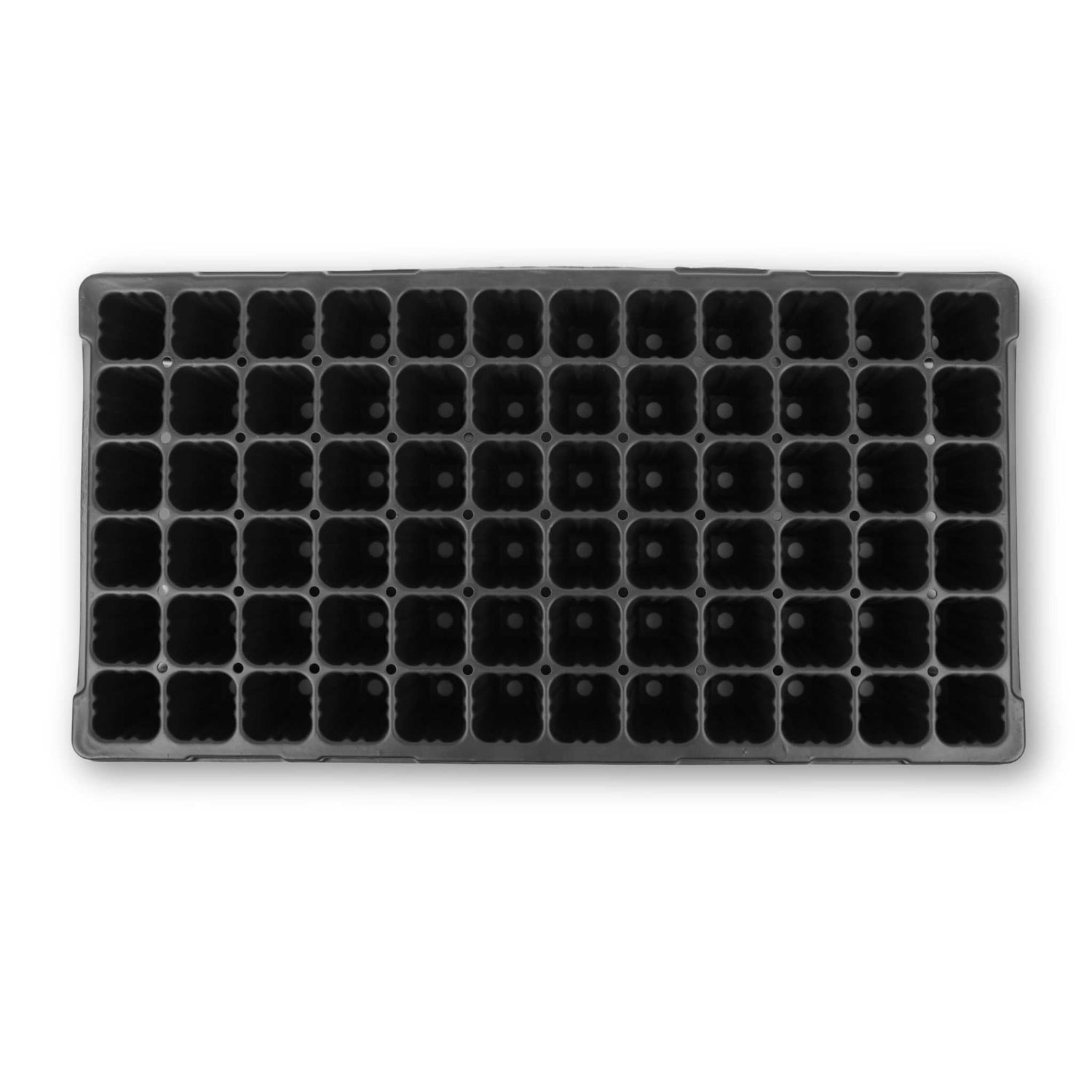 Black plastic seed tray with multiple small compartments on a white background