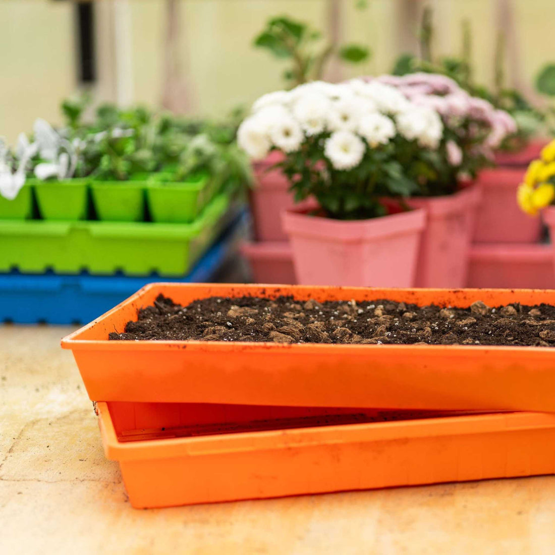 Orange planter box with soil on a wooden surface, surrounded by other plants and containers. 