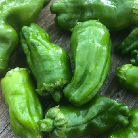 Close-up of green padron peppers on a wooden surface