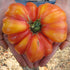 Large red and yellow pineapple tomato held in hands with a blurred background