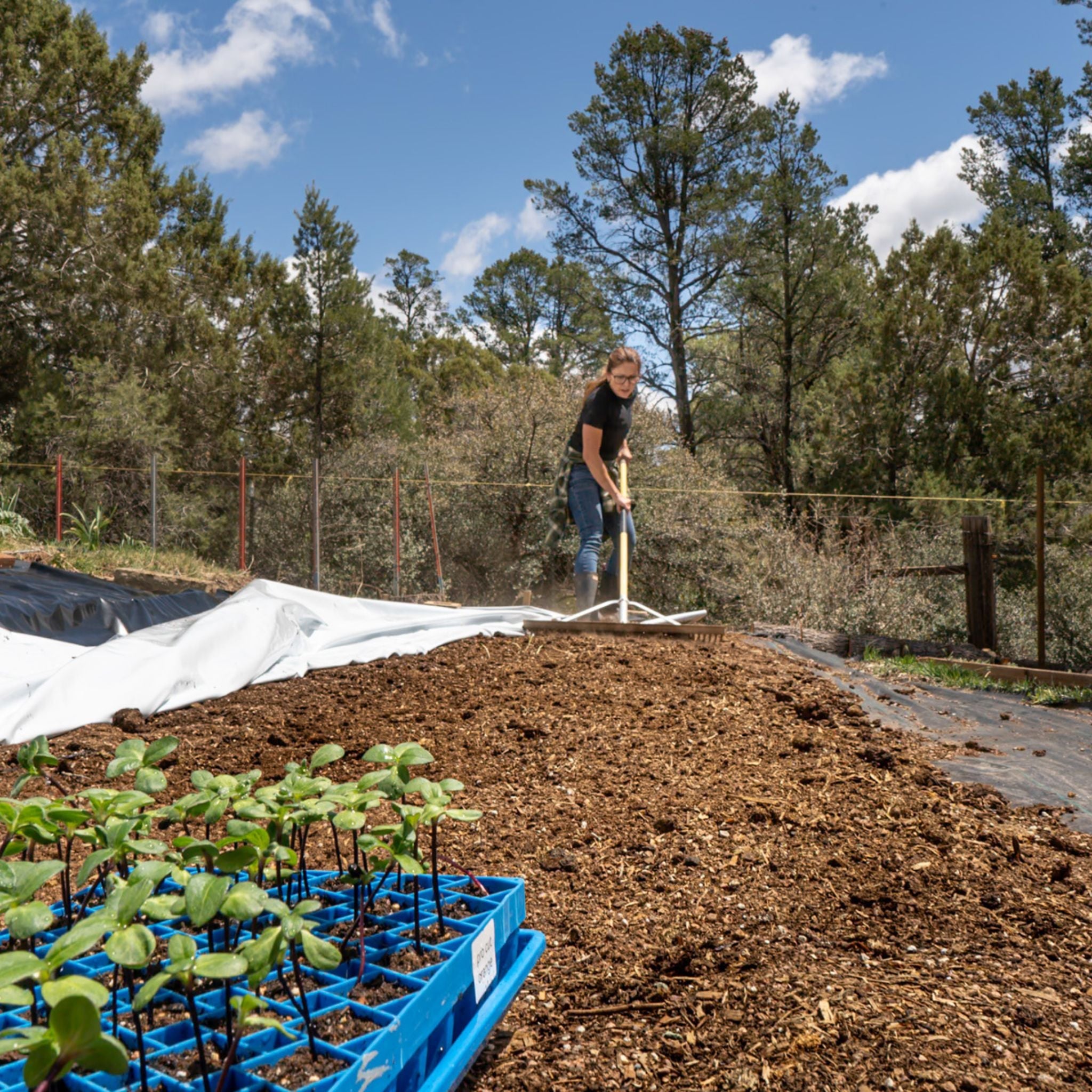 Silage Tarp - 6 mil Reversible Black &amp; White