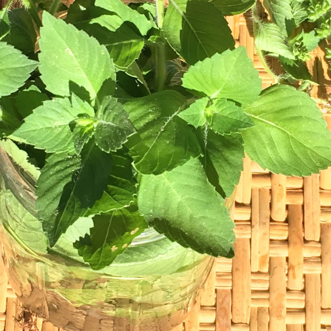 Thai Basil leaves in a glass container on a woven surface