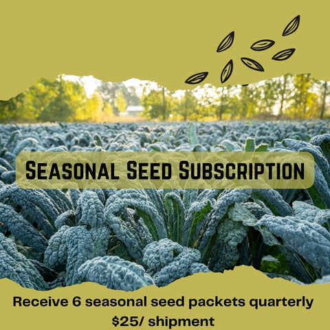 Seasonal Seeds