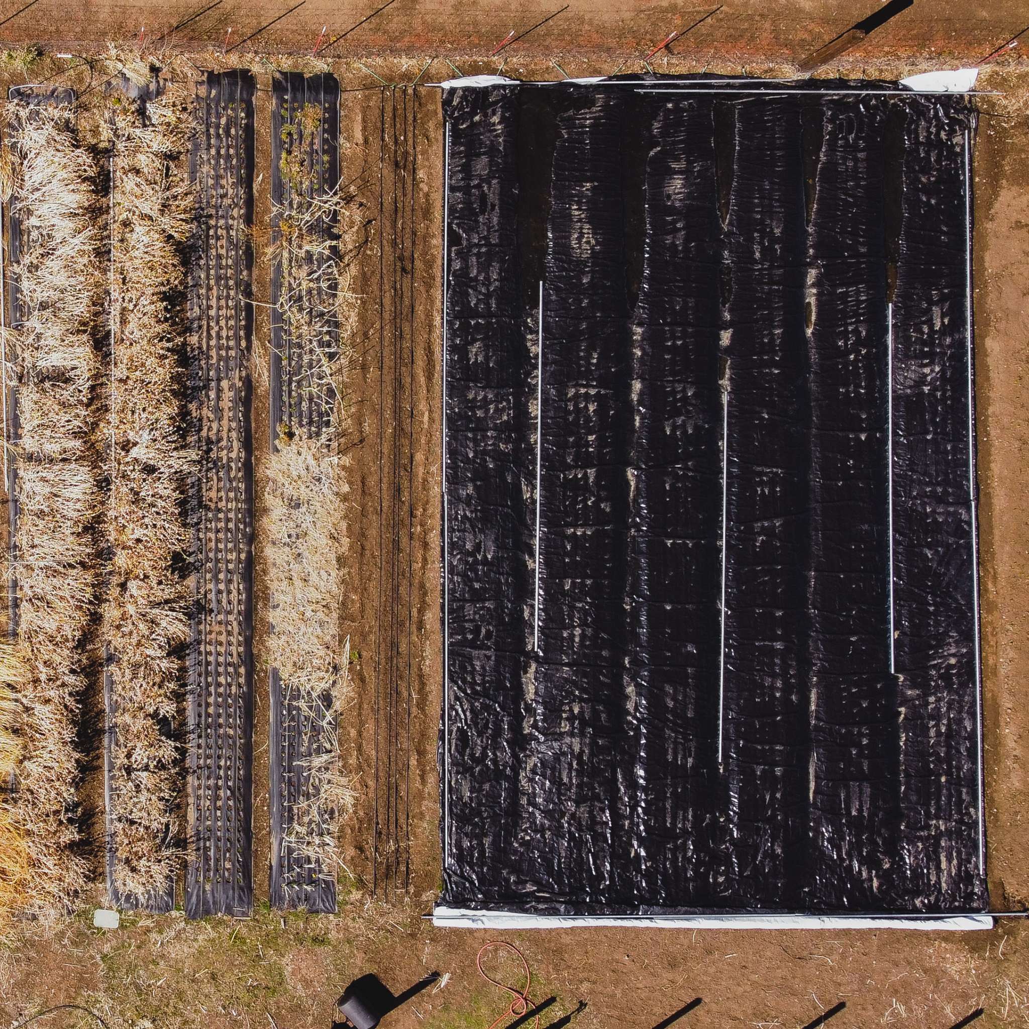Silage Tarp - 6 mil Reversible Black &amp; White