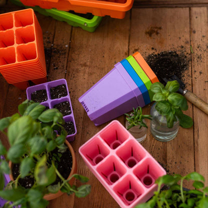 Colorful seedling trays and small plants on a wooden surface 