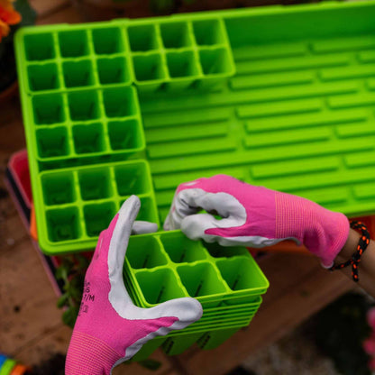 Green seedling tray with pink gardening gloves on a wooden surface 