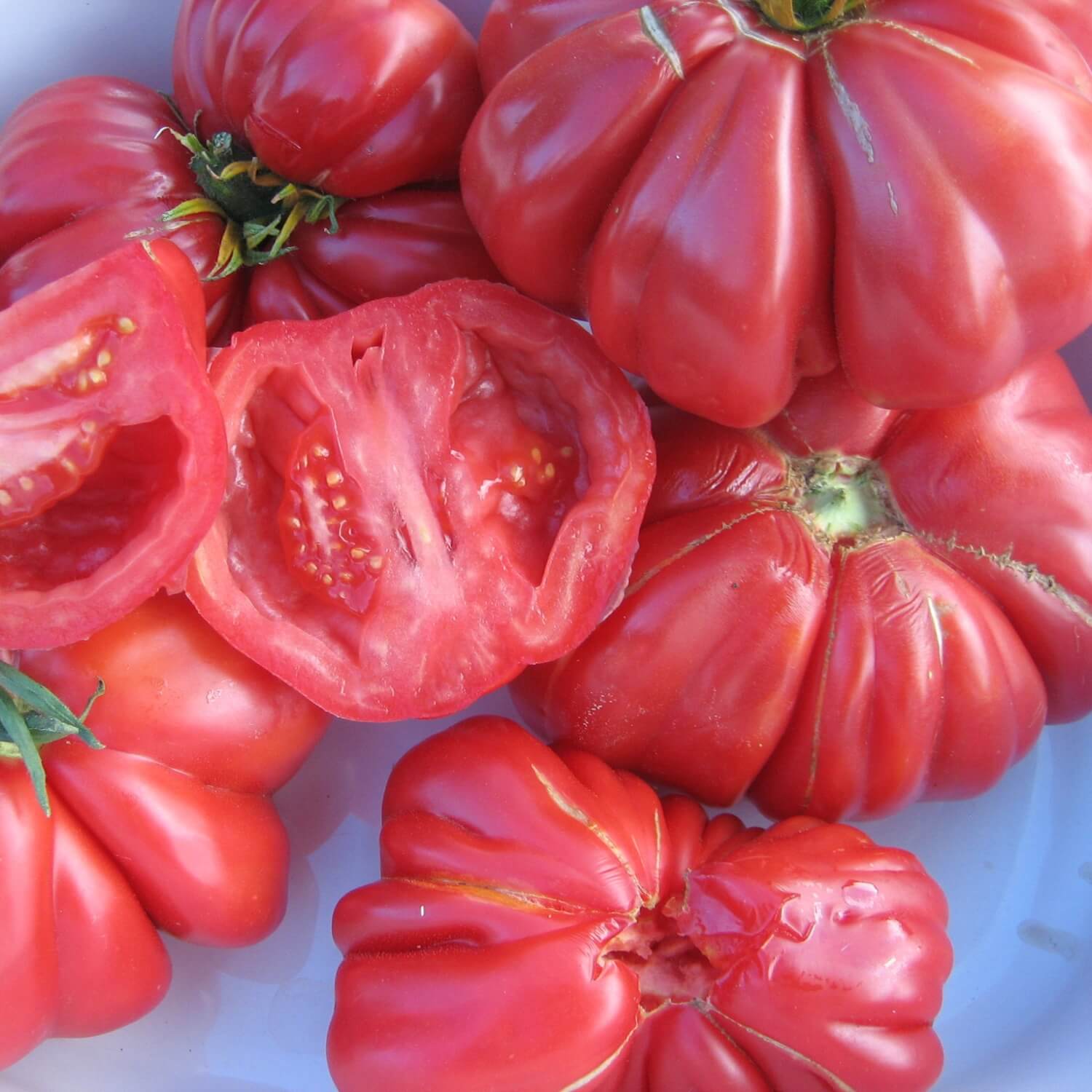 Red Zapotec tomatoes, including a halved one, on a white background