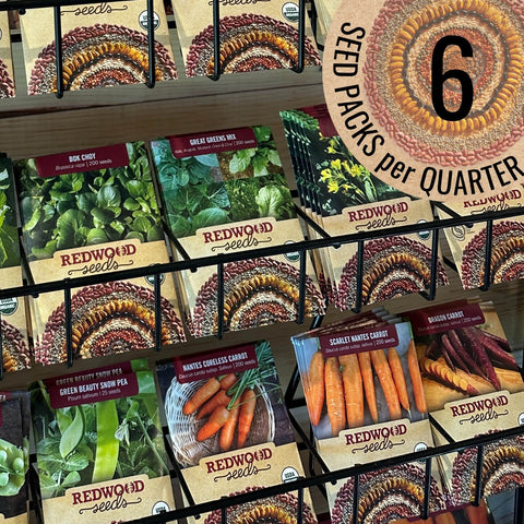 Seasonal Seed Box