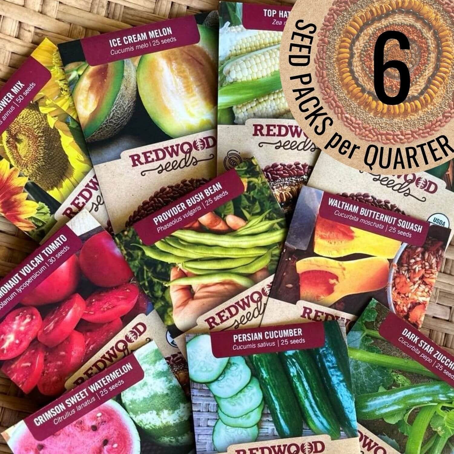 Seasonal Seed Box