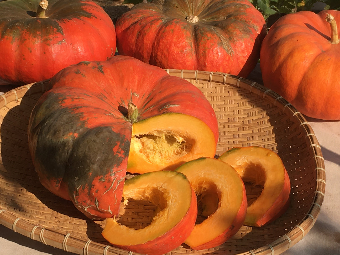 Cinderella Pumpkin