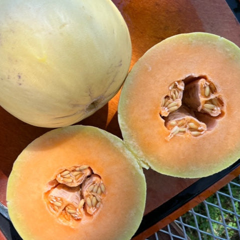 An image showing two orange honeydew melons, one whole and one cut in half, revealing the inside with seeds.