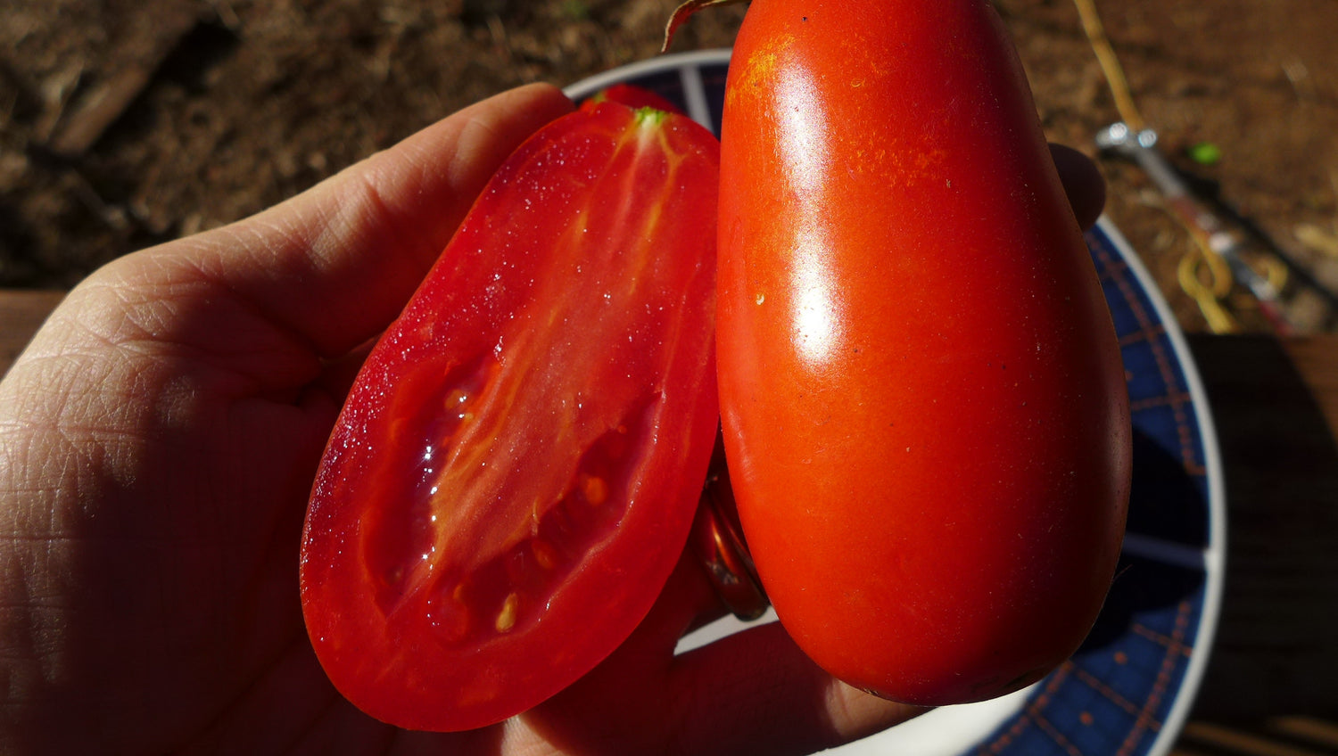 Milano Plum Paste Tomato
