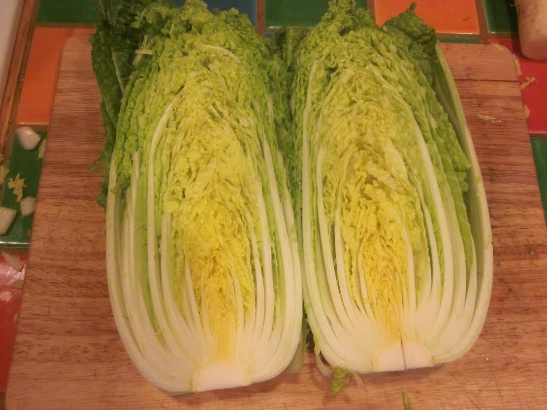 Nozaki Early Chinese Cabbage
